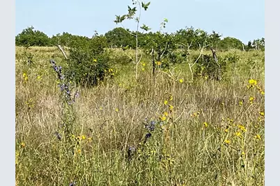 000 Crooked Road, Cat Spring, TX 78933 - Photo 4