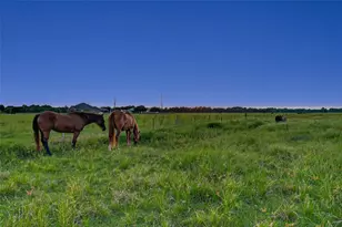 10550 Brinkmeyer Rd, Needville, TX 77461 - Photo 34
