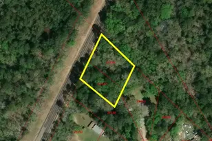 00 Fm 2665, Goodrich, TX 77335 - Photo 1