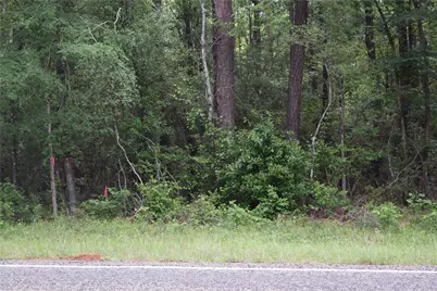 00 Fm 2665, Goodrich, TX 77335 - Photo 6