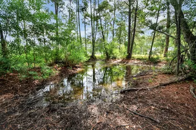 12964 Kowis Ln Lane, Plantersville, TX 77363 - Photo 20