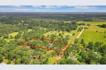 12964 Kowis Ln Lane, Plantersville, TX 77363 - Photo 2