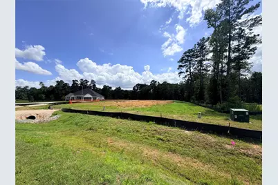 229 Gonsoulin Lane, Pinehurst, TX 77362 - Photo 18