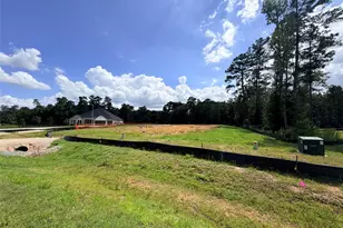 229 Gonsoulin Ln, Pinehurst, TX 77362 - Photo 18