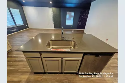 24634 Sapling Pine Street, Magnolia, TX 77355 - Photo 6