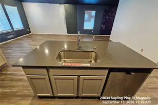 24634 Sapling Pne St, Magnolia, TX 77355 - Photo 6