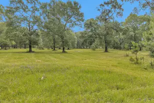 10186 Calvary Rd, Willis, TX 77318 - Photo 42