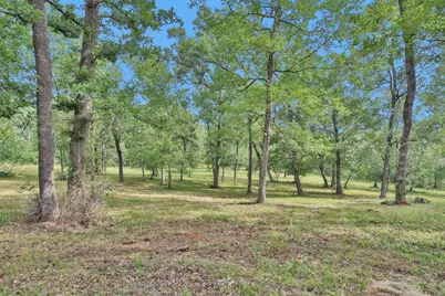 10186 Calvary Road, Willis, TX 77318 - Photo 26