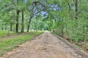 10186 Calvary Rd, Willis, TX 77318 - Photo 2
