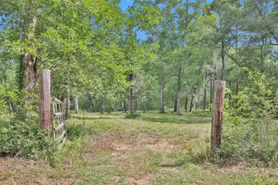 10186 Calvary Road, Willis, TX 77318 - Photo 32