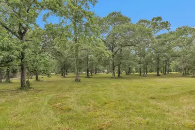 10186 Calvary Road, Willis, TX 77318 - Photo 48