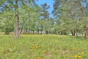 10186 Calvary Rd, Willis, TX 77318 - Photo 34