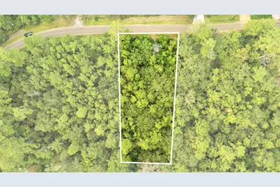 000 County Road 201 Loop, Plantersville, TX 77363 - Photo 8