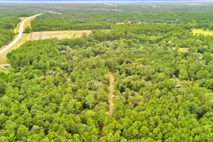 000 County Road 201 Loop, Plantersville, TX 77363 - Photo 1