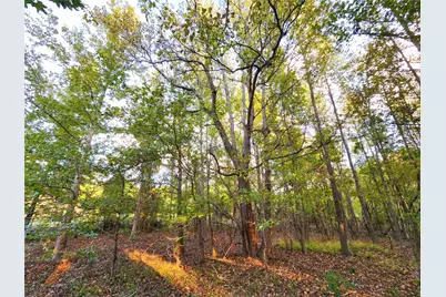 0 Eland Trail, LaRue, TX 75770 - Photo 12