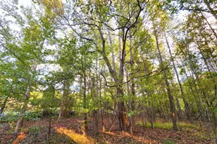 0 Eland Trail, LaRue, TX 75770 - Photo 12