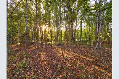 0 Eland Trail, LaRue, TX 75770 - Photo 10