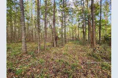 0 Eland Trail, LaRue, TX 75770 - Photo 22