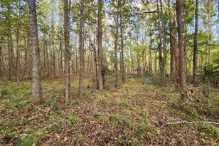 0 Eland Trail, LaRue, TX 75770 - Photo 22