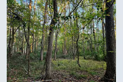 0 Eland Trail, LaRue, TX 75770 - Photo 28