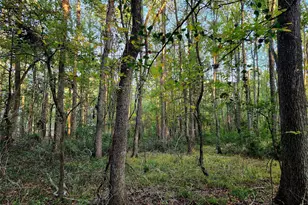 0 Eland Trail, LaRue, TX 75770 - Photo 28