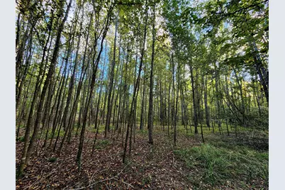 0 Eland Trail, LaRue, TX 75770 - Photo 18