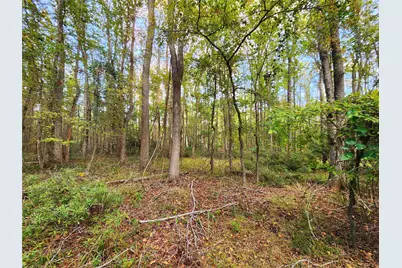 0 Eland Trail, LaRue, TX 75770 - Photo 24