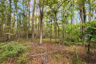 0 Eland Trail, LaRue, TX 75770 - Photo 24