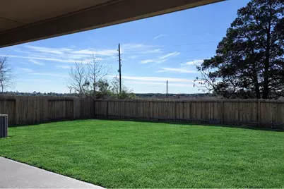 20615 Silver Tea Avenue, Hockley, TX 77447 - Photo 4
