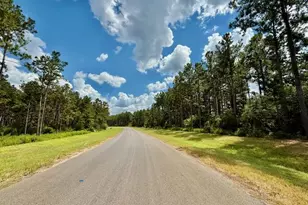 10790 Ruger Rd, Willis, TX 77378 - Photo 12