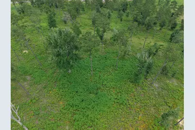 Lot 82 Grace Circle, Livingston, TX 77351 - Photo 4