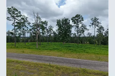 Lot 82 Grace Circle, Livingston, TX 77351 - Photo 2