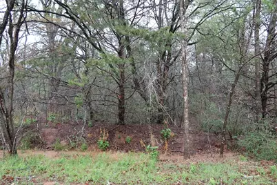 1034 Kawanui Drive, Bastrop, TX 78602 - Photo 8