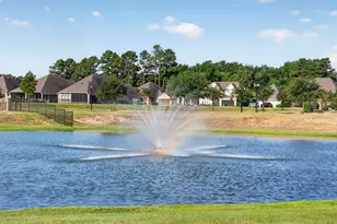24638 Carleton Lake Ln, Tomball, TX 77375 - Photo 32