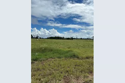 Tbd Private Road 2316 Tr 47 Tr48, Centerville, TX 75833 - Photo 2