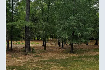 Lot 4 Hidden Cove Road, Point Blank, TX 77364 - Photo 2