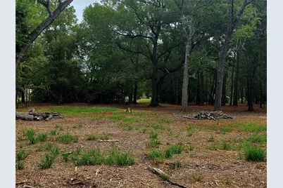 Lot 4 Hidden Cove Road, Point Blank, TX 77364 - Photo 4