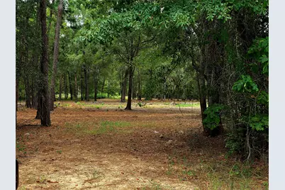 Lot 4 Hidden Cove Road, Point Blank, TX 77364 - Photo 6