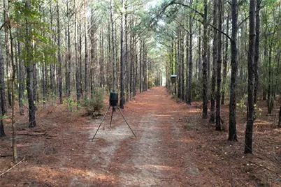 350 Williamson Way, Lovelady, TX 75851 - Photo 8