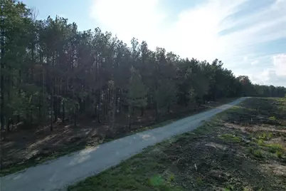 350 Williamson Way, Lovelady, TX 75851 - Photo 12