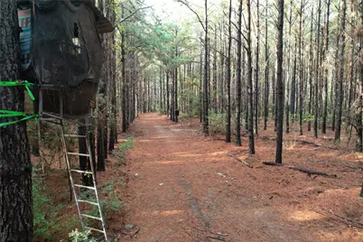 350 Williamson Way, Lovelady, TX 75851 - Photo 10