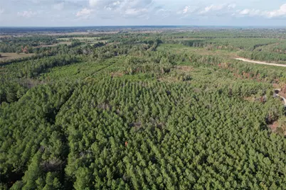 350 Williamson Way, Lovelady, TX 75851 - Photo 2