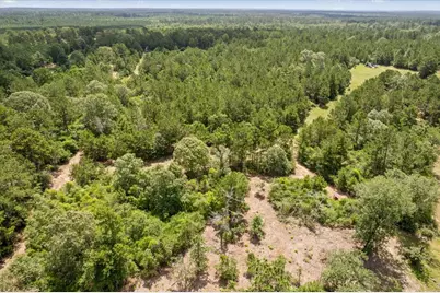 Tbd Lot 1 County Road 302, Plantersville, TX 77363 - Photo 40