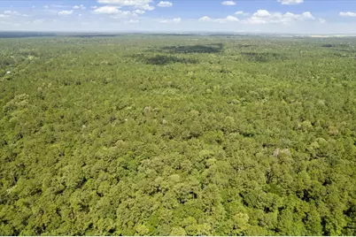Tbd Lot 1 County Road 302, Plantersville, TX 77363 - Photo 24