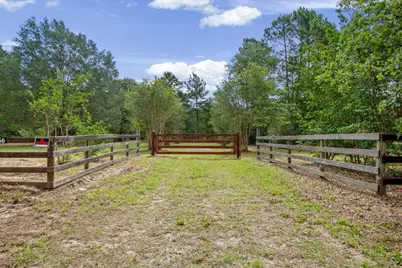 Tbd Lot 1 County Road 302, Plantersville, TX 77363 - Photo 1