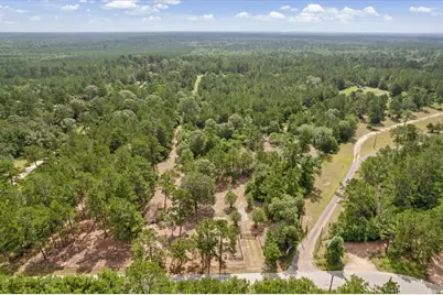 Tbd Lot 1 County Road 302, Plantersville, TX 77363 - Photo 12