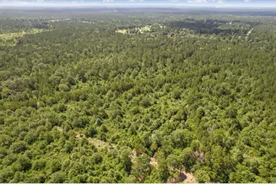Tbd Lot 1 County Road 302, Plantersville, TX 77363 - Photo 28