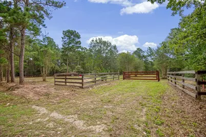 Tbd Lot 1 County Road 302, Plantersville, TX 77363 - Photo 2