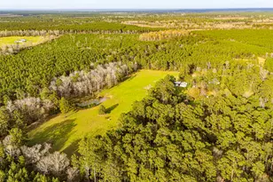 5146 Richardson Rd E, Livingston, TX 77351 - Photo 48