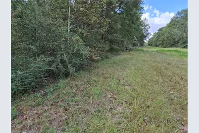 18471 Country Place Drive, Conroe, TX 77302 - Photo 10